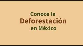 Conoce la deforestación en México [upl. by Bassett21]