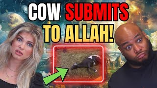 Muslim Prayer makes cow SUBMIT to GOD  SHOCKING [upl. by Ikik]