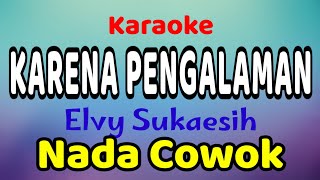 KARENA PENGALAMAN Karaoke Nada Cowok Elvy Sukaesih [upl. by Eelnayr4]