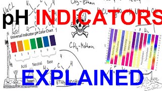 pH Indicators Explained [upl. by Siednarb]