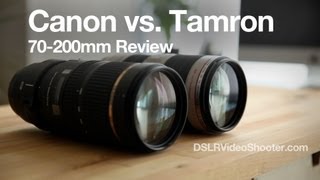 Canon VS Tamron 70200mm Lens Comparison and Review [upl. by Dnalwor]