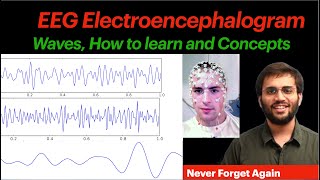 EEG Waves Physiology  Sleep Physiology Epilepsy  Electroencephalogram CNS Physiology Video [upl. by Frasier]