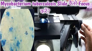 Mycobacterium Tuberculosis Slide focusing  TB की Slide कैसे Focus करें [upl. by Christyna]