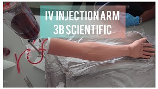 IV Injection Arm  3B Scientific [upl. by Verras]