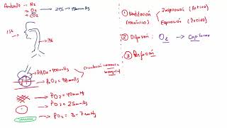 Fisiología  1 RM19 2V FISIOLOGIA SISTEMA RESPIRATORIO de Qx Medic on Vimeo [upl. by Norted]