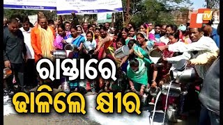 Farmers spill milk over fair prices in Keonjhar [upl. by Ahsiloc]