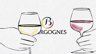 Comment sont classés les vins de Bourgogne [upl. by Manbahs]