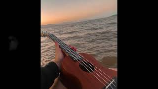 FREE ACOUSTIC UKULELE TYPE BEAT  NEW DAY PRODBY ZBEATZ [upl. by Im]