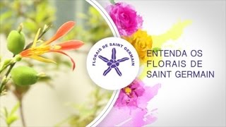 O que são Essências Florais Florais de Saint Germain Talita Margonari Lazzuri [upl. by Rattan842]