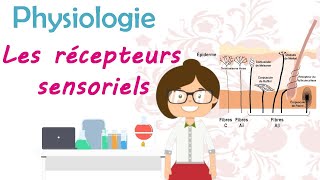 Physiologie  les récepteurs sensoriels  cours de 2 ème année médecine [upl. by Zakaria]