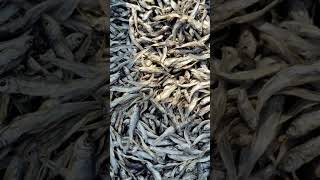 Suman sahani dry fish market jagiroad assam [upl. by Kcirad]