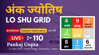 Live Lo Shu Grid  Lo Shu grid  Pankaj Gupta  Lo Shu Grid Numerology  Numerology  hindi 110 [upl. by Adidnere]