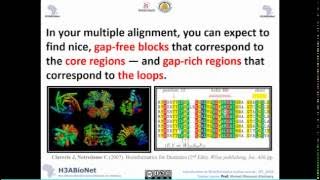 IBT2016Lec6 Interpreting Your Multiple Sequence Alignment [upl. by Lehcsreh]