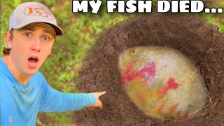 My Favorite Fish Died… [upl. by Lenz]