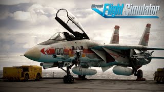 Just   WOW  Heatblur Arrive in MSFS  F14 Tomcat Review Flight  Microsoft Flight Simulator [upl. by Nomad926]