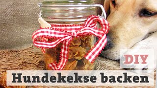 HUNDEKEKSE BACKEN  Thunfisch LECKERLI für HUND  KATZE selber backen DIY [upl. by Oneill851]