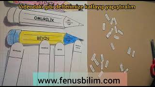 6 Sınıf Denetleyici ve düzenleyici sistem interaktif materyal fenusbilim [upl. by Delia192]