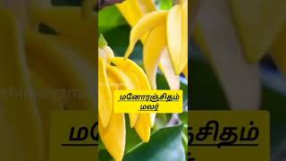 pookkal marunthagavumtheiviga mamsamagavum payanpadukirathu [upl. by Ecirtnahs]