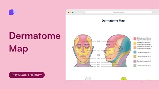 Dermatome map [upl. by Acimad758]