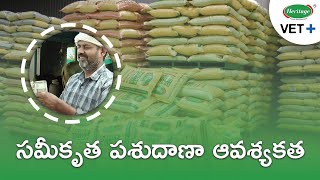 Benefits of Cattle Feed  సమీకృత పశుదాణా ఆవశ్యకత  Heritage Vet Telugu  తెలుగు [upl. by Concoff]