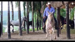 Mix Vicente Fernandez  Corrida De Caballos Dj Carlos Sanabria [upl. by Erl188]