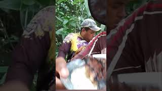 PESCANDO TRAIRA E ASSANDO RAIZ pesca traira fishingvideo peixe trairao [upl. by Eikcaj]