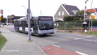 Bus over spoorweg Hoek van Holland Haven naar het Strand [upl. by Anatol]