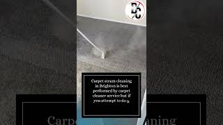 Get The Best Carpet Steam Cleaning in Brighton [upl. by Wiatt]