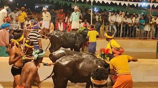 Kambala Start Balkunje Mangalore [upl. by Airamanna]