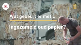 Wat gebeurt er met ingezameld oud papier [upl. by Rebme899]