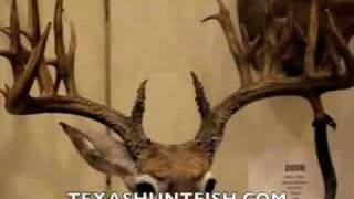 NonTypical Texas Whitetail Deer scoring 275 [upl. by O'Kelly692]