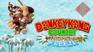 Seashore War Lower Pitch  Donkey Kong Country Tropical Freeze [upl. by Ethelin]