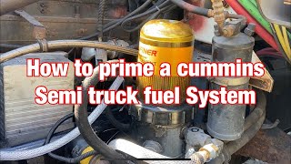 How to prime the fuel system on a m11 n14 and l10 cummins [upl. by Kcitrap750]