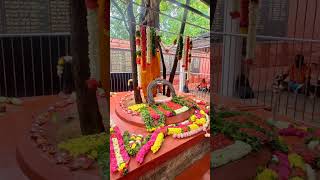 Sadasiva brahmendral Nov 1624 pooja [upl. by Kcub]