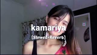 KAMARIYA SlowedReverb Trending 🎧 🎶🎵🎧  trending remix song music vairalvideo lofi [upl. by Skees]