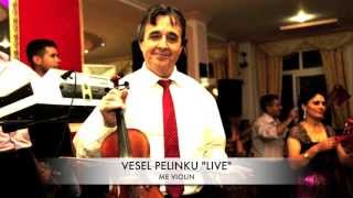 Vesel Pelinku Live 1 [upl. by Nohsyar]