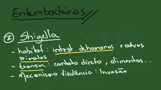 Enterobactérias 1 Shigella Salmonella Yersinia  Resumo  Microbiologia [upl. by Gurtner]