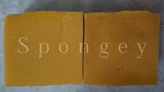 ASMR Sponge 🧽 Damp Squeezing Scratching Ripping Bleached and Non Bleached Foam 🧽 Bleach Week 24 [upl. by Eiznekcam]