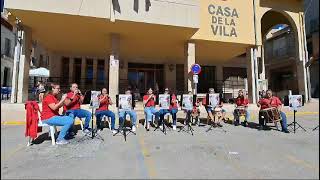 COLLA DE DOLÇAINA I TABAL DELS NANOS I GEGANTS DE VINARÒS [upl. by Ragan]