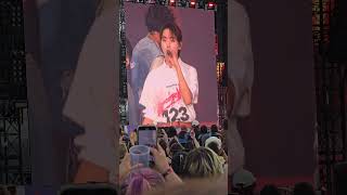 Seventeen  Don Quixote Fancam Lollapalooza Berlin 08092024 [upl. by Nylanaj]