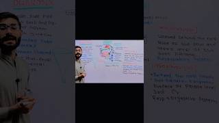 Laryngopharynx Division of Pharynx Structure and Functions anatomy viralvideo neet biology [upl. by Calhoun]