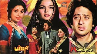 HUM DONO 1980  NADEEM SHABNAM KEMAL SAIQA  OFFICIAL PAKISTANI MOVIE [upl. by Elauqsap]