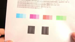 Cleaning the Printhead of HP OfficeJet Pro 6960  Maintain Print Quality [upl. by Aeneas]