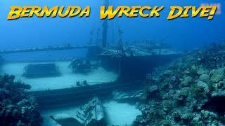 Diving the Hermes Wreck Bermuda The Bermuda Triangle [upl. by Pennie356]