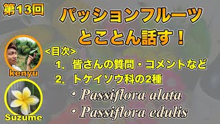 【果樹ラジオ13】パッションフルーツ Passiflora について！ゆっくり解説する！ [upl. by Clio603]