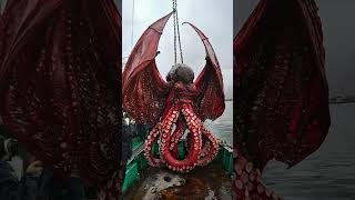 Giant Sea Monsters Caught by Fishermen 🐙🎣GiantSeaCreatures FishingDiscoveries OceanMysteries [upl. by Rennob]