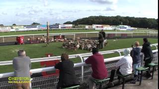 Chepstow Racing amp Events [upl. by Aihsatan719]