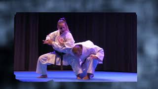 Budo Gala 2018 [upl. by Bouldon]