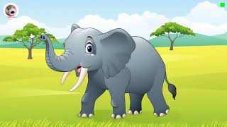 Hes Got A Long Nose Animals In The Jungle Popular Songs In English For Kids [upl. by Valera]