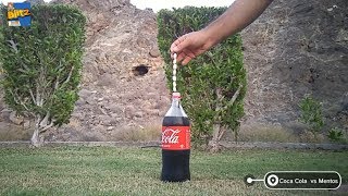 How to make Coke and Mentos Volcano  Coca Cola VS Mentos Experiment Reaction  cokeandmentos [upl. by Sander]